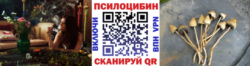 кракен зеркало  Старый Крым  Галлюциногенные грибы Psilocybine cubensis 